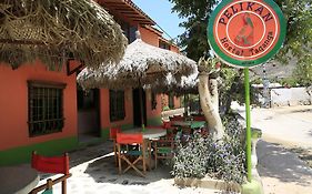 Pelican Hostel